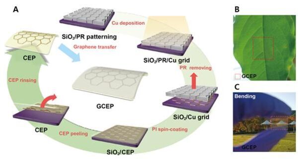 Enhancing the Performance of PSCs with ‘Graphene Armor’