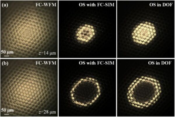 Researchers Directly Obtain 3D Full-color Images upon Conventional Microscope