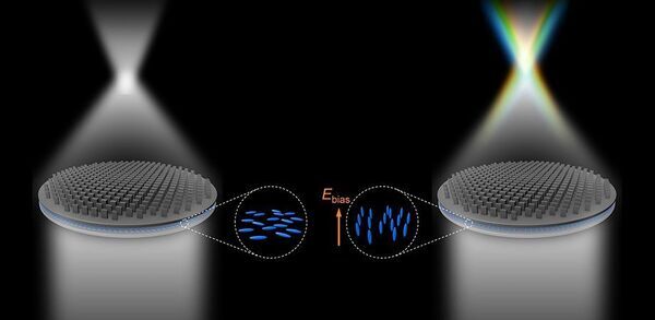 Liquid crystal integrated metalens for versatile color focus