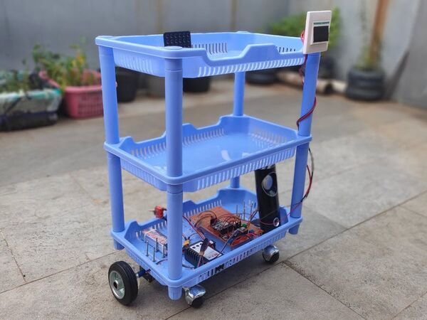 Low Budget Carriage Robot
