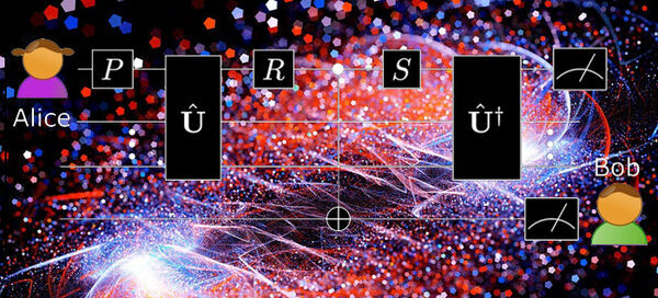 Simulating quantum ‘time travel’ disproves butterfly effect in quantum realm