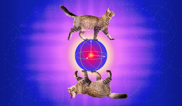 Yale quantum researchers create an error-correcting cat