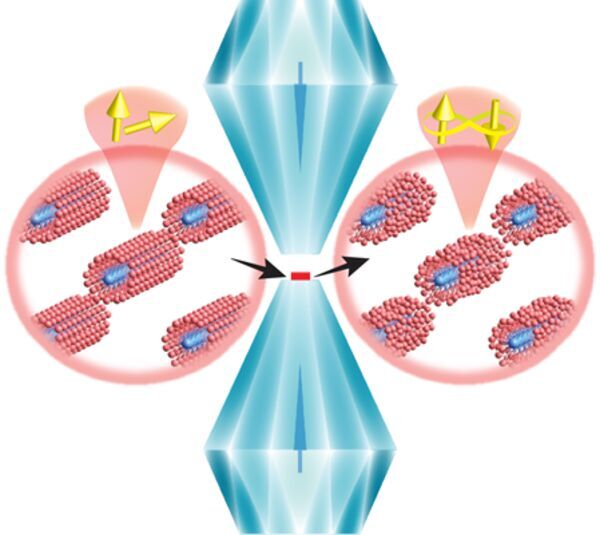 Researchers Discover Superconductor with Unexpected Lattice Configuration