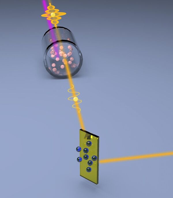 Quantum light squeezes the noise out of microscopy signals
