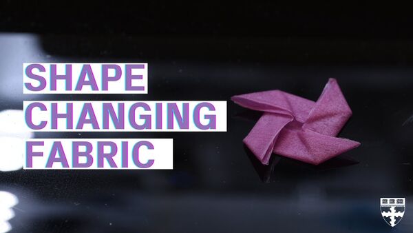 Wool-like material can remember and change shape