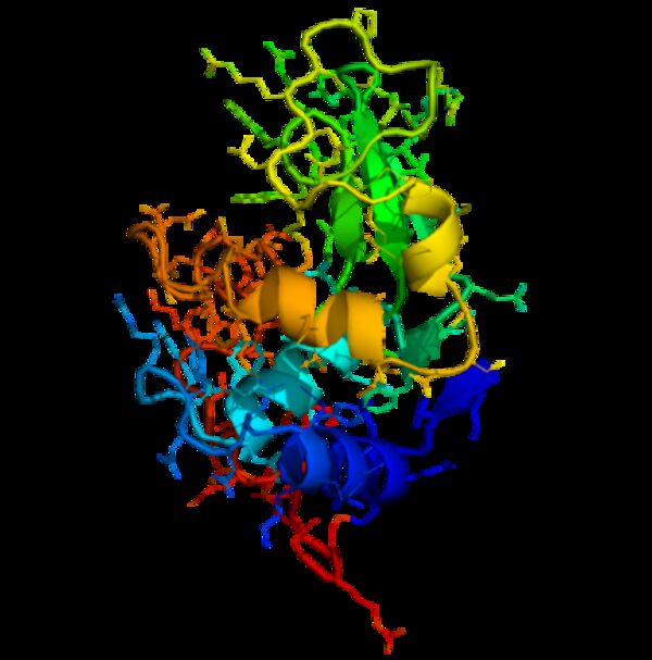 Shining a Light on Disordered and Fractal Systems