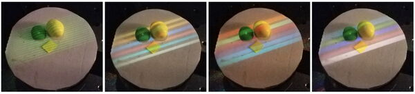 3D camera earns its stripes at Rice