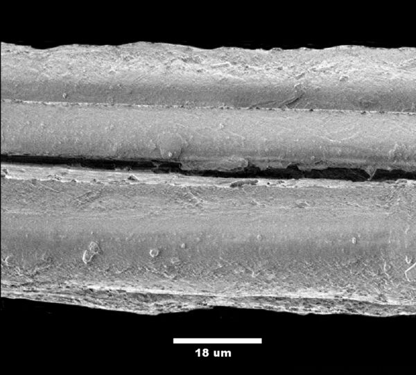 Natural fibres threaded into satellites for safer missions