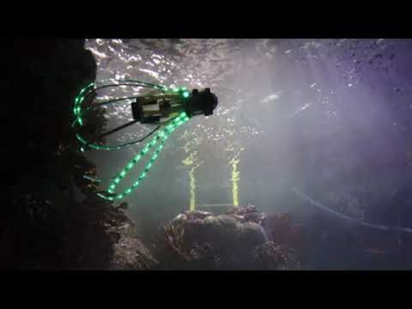 This 'squidbot' jets around and takes pics of coral and fish