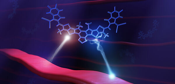 Light on efficiency loss in organic solar cells