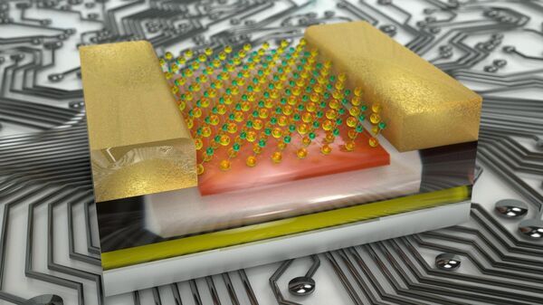 Next-generation computer chip with two heads