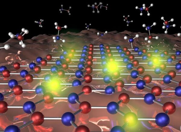 Devil in the defect detail of quantum emissions unravelled