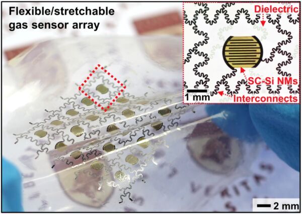 Implantable sensor could measure bodily functions -- and then safely biodegrade