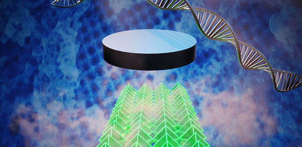 Making 3-D Nanosuperconductors with DNA