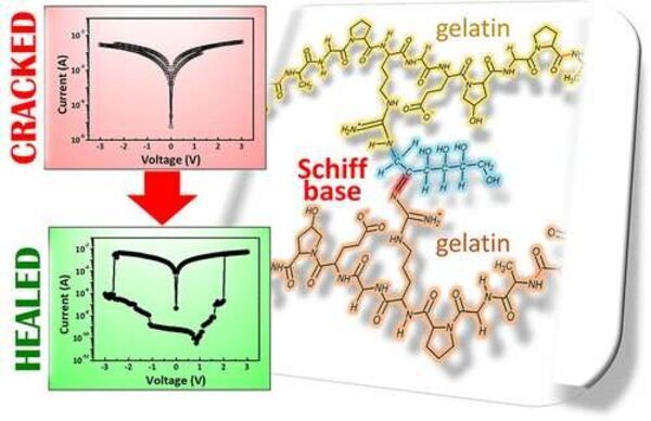 Self-repairing gelatin-based film could be a smart move for electronics