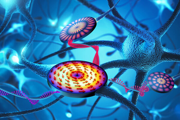 HZDR team develops component for neuromorphic computer