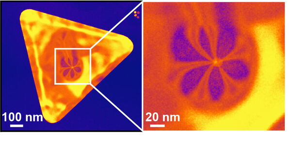 Weak force has strong impact on nanosheets