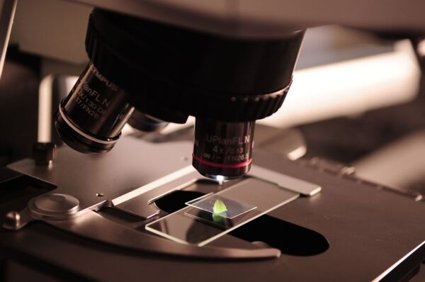 Scientists Studied the Possibilities of Controlling the Magnetic Properties of Complex Oxide Systems