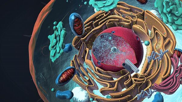 UChicago scientists pioneer new method of measuring electricity in cells