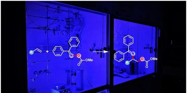 Chemists succeed in synthesis of aminoalcohols by utilizing light