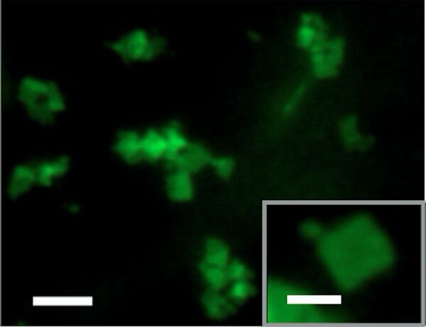 Emory chemists invent shape-shifting nanomaterial