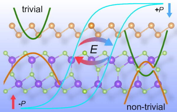 2D compound shows unique versatility