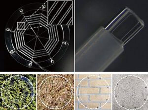 There’s a new spider in town: advancing the field of robotics with ionic spiderwebs