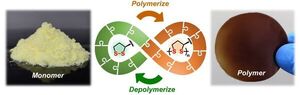 Molecule from nature provides fully recyclable polymers