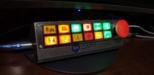 Zoom Control Panel