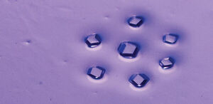 Locked MOFs are the key to high porosity