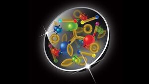 Nature’s funhouse mirror: understanding asymmetry in the proton