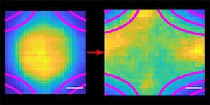 Bottling the world’s coldest plasma