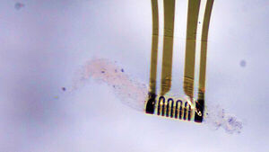 Adaptive Microelectronics Reshape Independently and Detect Environment for First Time
