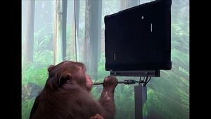 Monkey MindPong