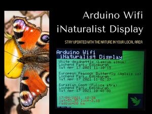 Arduino Wifi iNaturalist Display