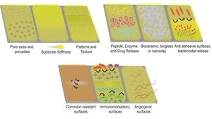 Polymer-Based Coatings on Metallic Implants Improve Bone-Implant Integration