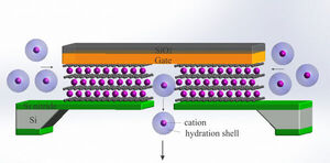 Scaling down Ionic Transistors to the ultimate limit