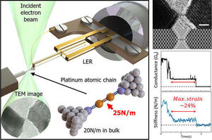 Hanging by a Thread: Imaging and Probing Chains of Single Atoms