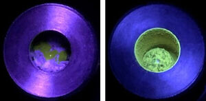 New method makes generic polymers luminescent