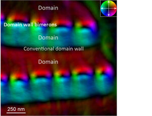 Scientists observe a new type of topological defect in chiral magnets for the first time