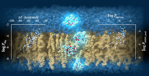 TSUBAME supercomputer predicts cell-membrane permeability of cyclic peptides