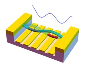 New viable means of storing information for quantum technologies?