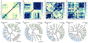 Building Blocks: New Evidence-Based System Predicts Element Combination Forming High Entropy Alloy