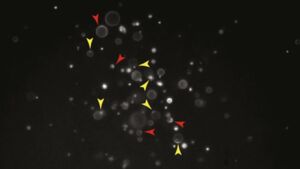 How chemical reactions compute