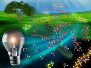 New solvents to break down plant cellulose for bioethanol