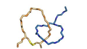 Researchers invent world's smallest biomechanical linkage