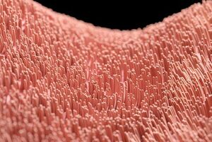 Artificial ultra-tiny ‘hairs’ open up future small-scale applications