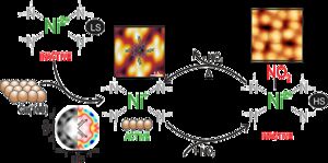 Molecular interfaces for innovative sensors and data storage devices