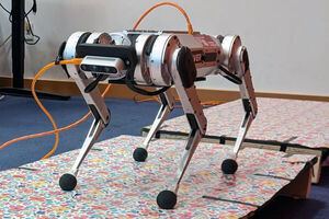 One giant leap for the mini cheetah