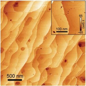 Spintronics: Exotic ferromagnetic order in two-dimensions